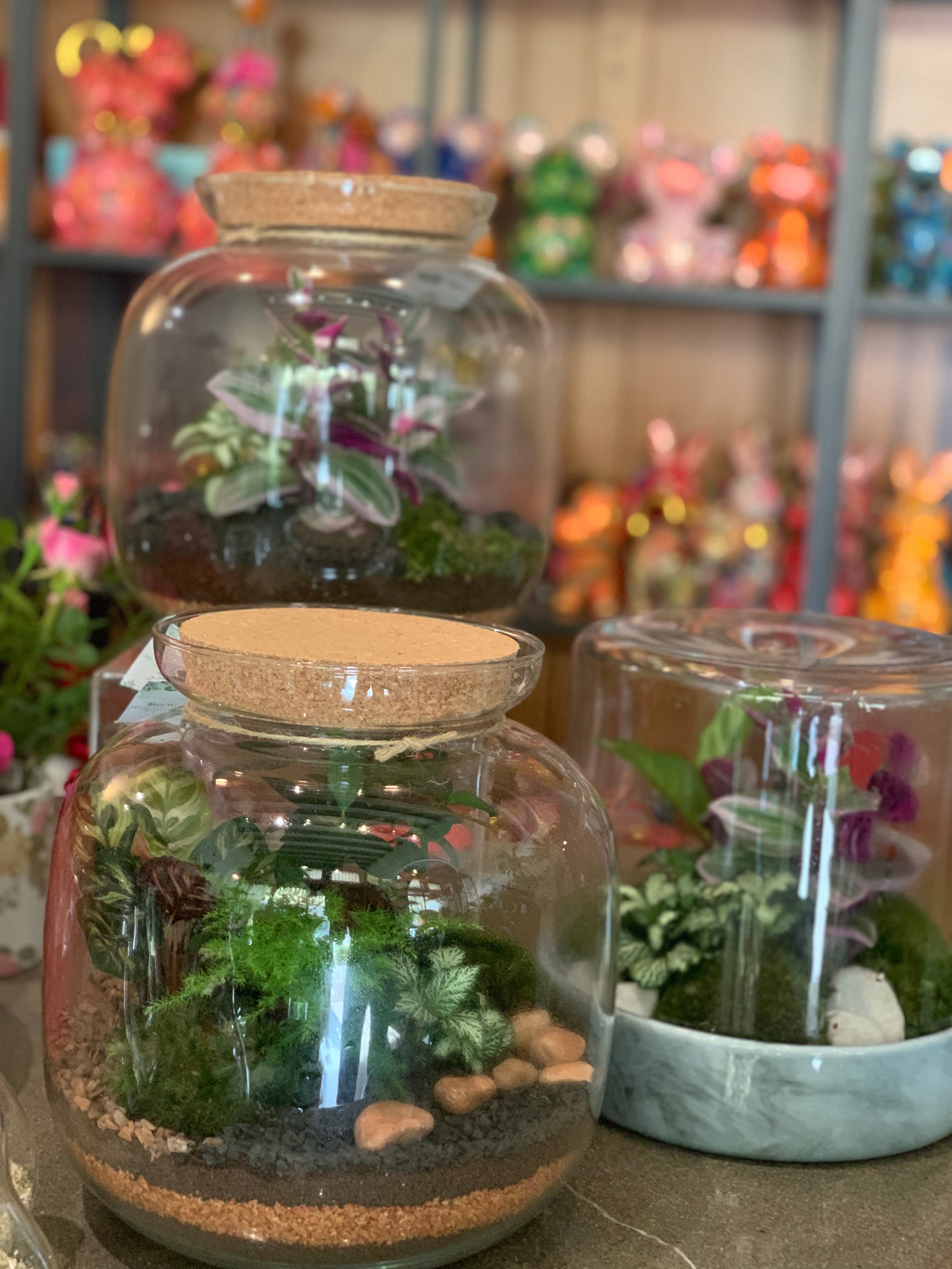 Terrarium