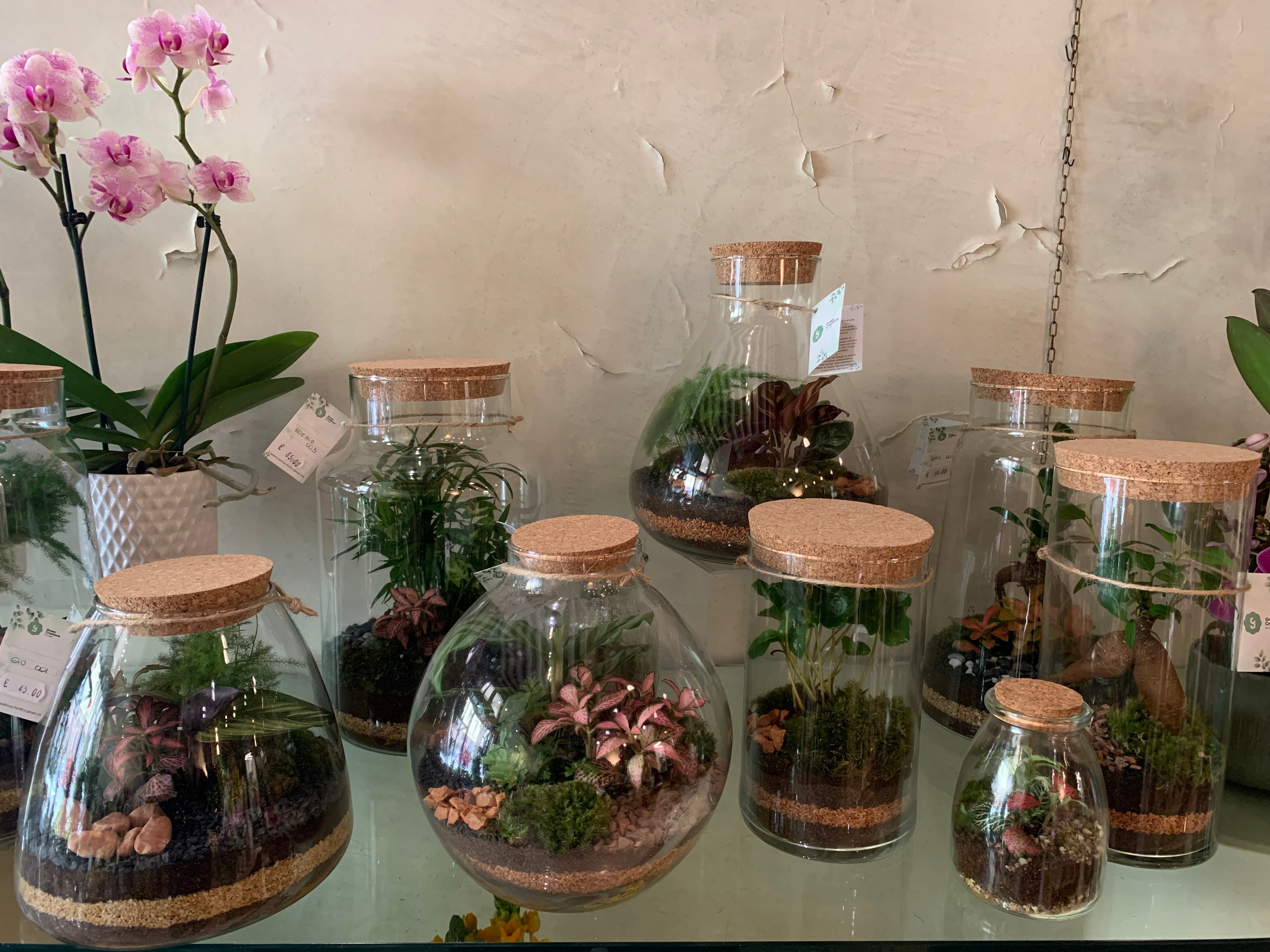 Terrarium