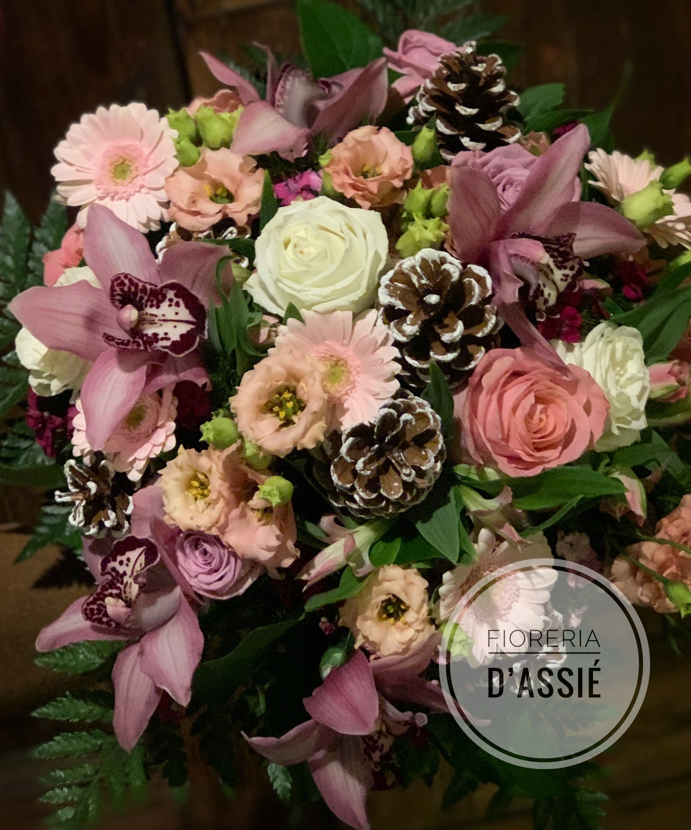 Rosa d’inverno