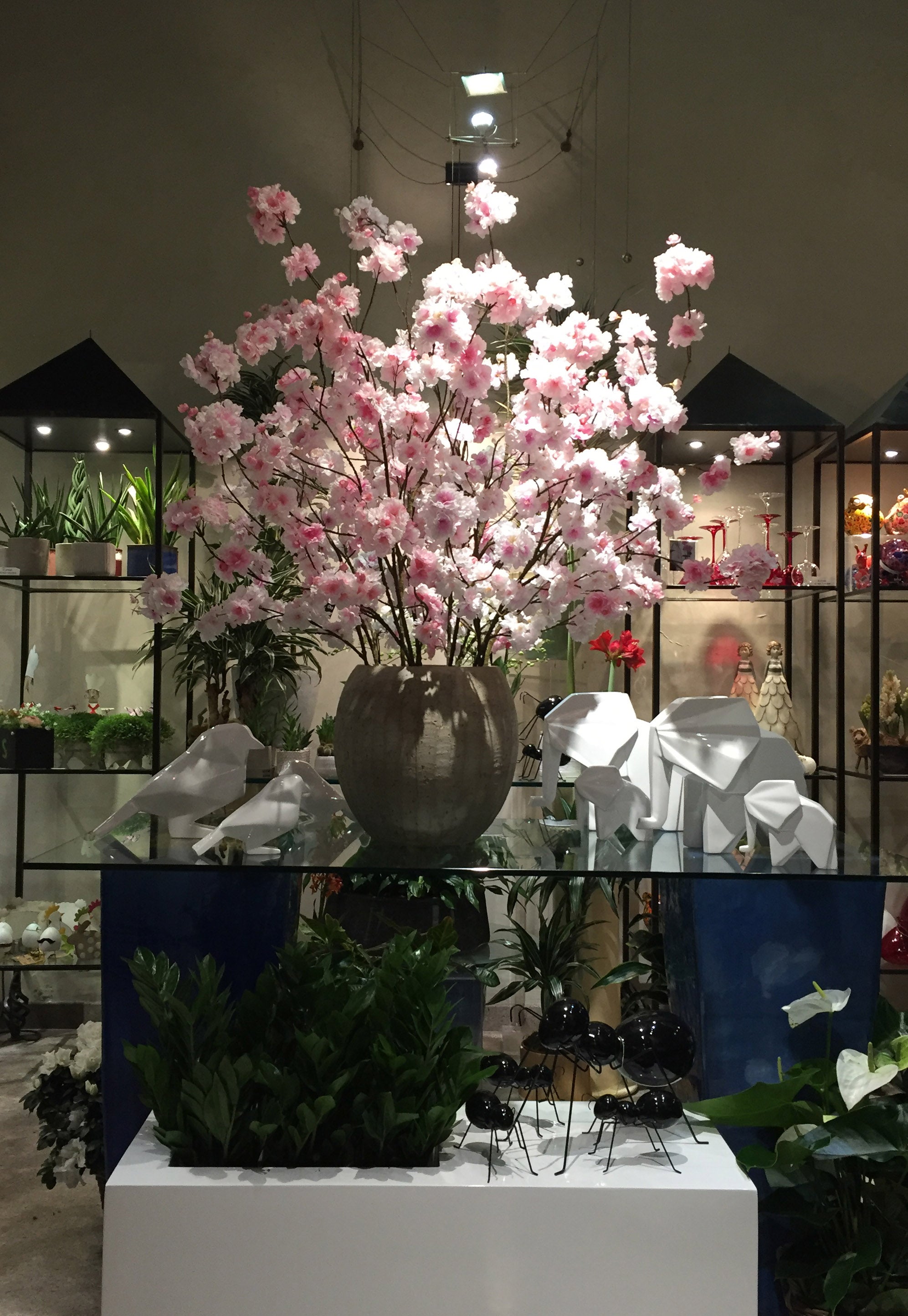 Pesco Sakura